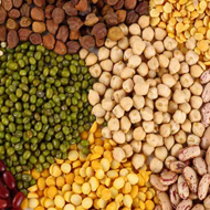 Agro Products